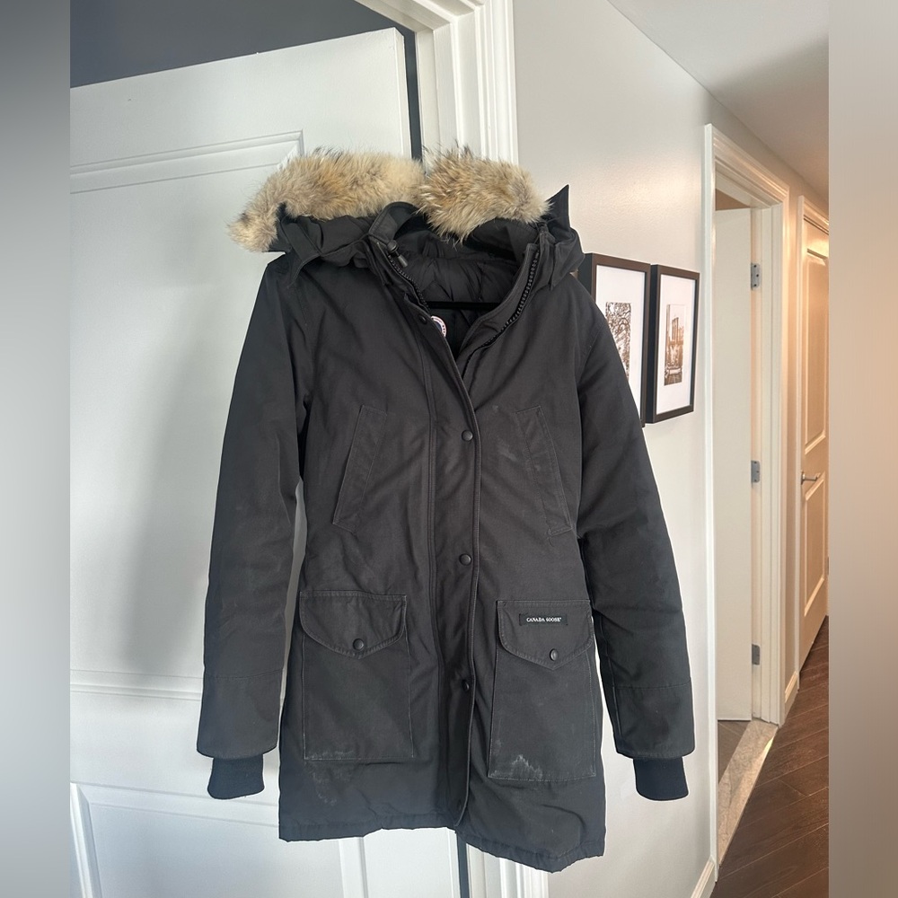 Canada Goose